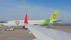 Cómo reclamar equipaje perdido en TAP Portugal