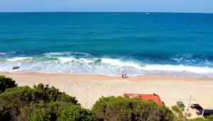a couple of people on a beach